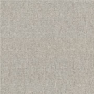 Pinnacle Ecru by Kasmir Designer Fabric 5046 100% Polyester INDIA 102,000 Wyzenbeek Double Rubs H: N/A, V: N/A 54 - 55 - Swanky Fabrics - Kasmir