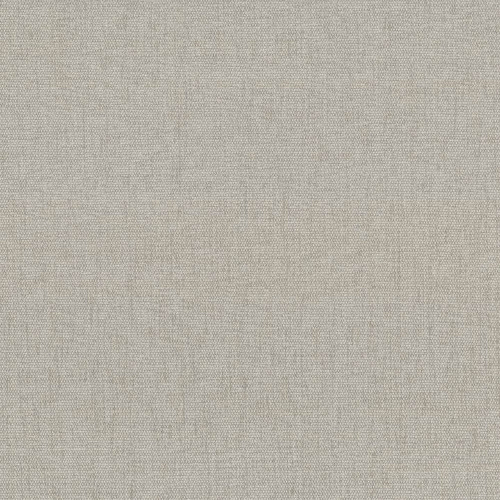 Pinnacle Ecru by Kasmir Designer Fabric 5046 100% Polyester INDIA 102,000 Wyzenbeek Double Rubs Horizontal: 0 Inches and Vertical: 0 Inches 54 - 55 - Swanky Fabrics -