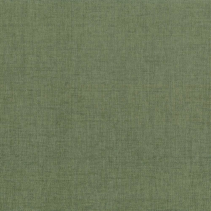 Pinnacle Fern by Kasmir Designer Fabric 5046 100% Polyester
 INDIA </p><p>Repeat: Horizontal: N/A and Vertical: N/A 54 - 55 - Swanky Fabrics -