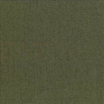 Pinnacle Forest by Kasmir Designer Fabric 5046 100% Polyester INDIA 102,000 Wyzenbeek Double Rubs H: N/A, V: N/A 54 - 55 - Swanky Fabrics - Kasmir