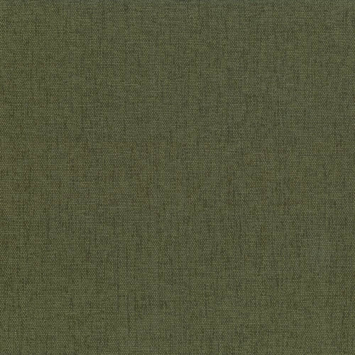 Pinnacle Forest  by Kasmir Designer Fabric 5046 100% Polyester
 INDIA 102,000 Wyzenbeek Double Rubs Horizontal: N/A and Vertical: N/A 54  - Swanky Fabrics -