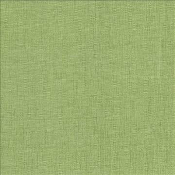 Pinnacle Grass by Kasmir Designer Fabric 5046 100% Polyester INDIA 102,000 Wyzenbeek Double Rubs H: N/A, V: N/A 54 - 55 - Swanky Fabrics - Kasmir