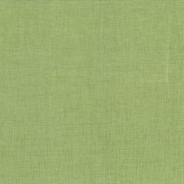 Pinnacle Grass by Kasmir Designer Fabric 5046 100% Polyester
 INDIA 102,000 Wyzenbeek Double Rubs </p><p>Repeat: Horizontal: N/A and Vertical: N/A 54 - Swanky Fabrics -