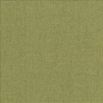 Pinnacle Herb by Kasmir Designer Fabric 5046 100% Polyester INDIA 102,000 Wyzenbeek Double Rubs H: N/A, V: N/A 54 - 55 - Swanky Fabrics - Kasmir