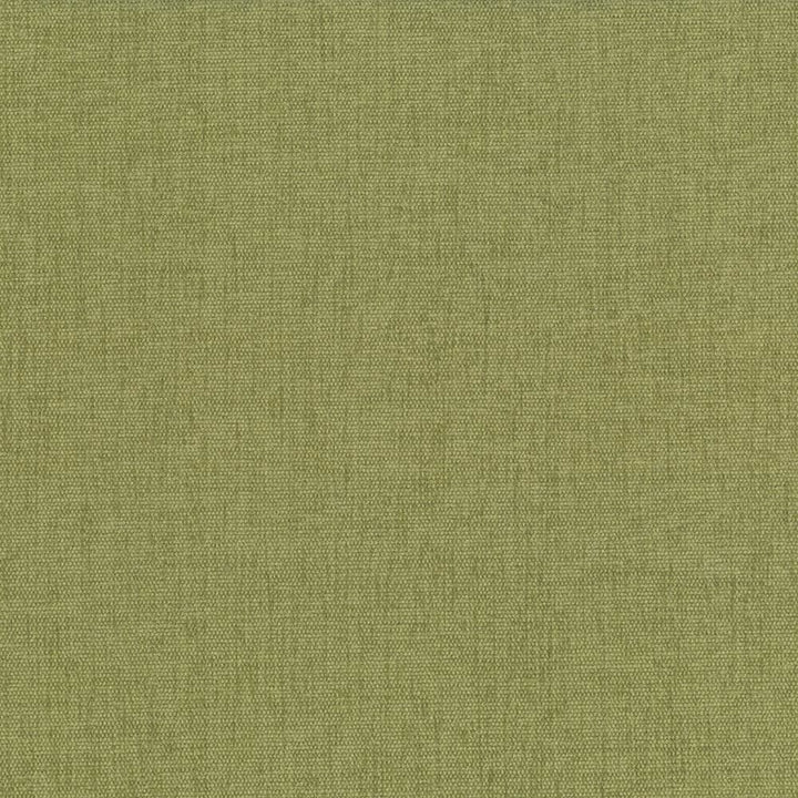 Pinnacle Herb by Kasmir Designer Fabric 5046 100% Polyester INDIA 102,000 Wyzenbeek Double Rubs Horizontal: 0 Inches and Vertical: 0 Inches 54 - 55 - Swanky Fabrics -
