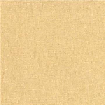 Pinnacle Maize by Kasmir Designer Fabric 5046 100% Polyester INDIA 102,000 Wyzenbeek Double Rubs H: N/A, V: N/A 54 - 55 - Swanky Fabrics - Kasmir