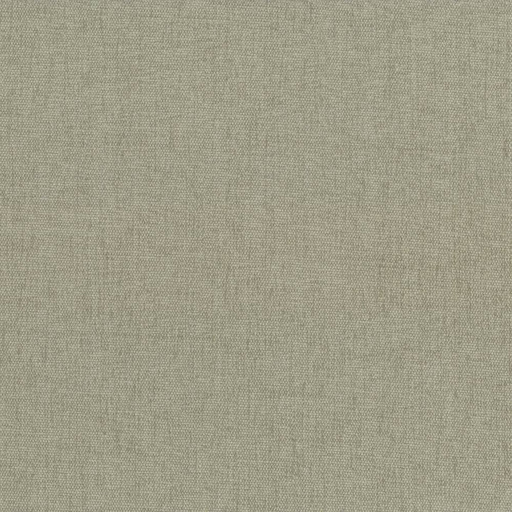 Pinnacle Mushroom by Kasmir Designer Fabric See sample 100% Polyester
 INDIA 102,000 Wyzenbeek Double Rubs </p><p>Repeat: Horizontal: N/A and Vertical: N/A 54 - Swanky Fabrics -