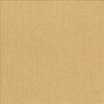 Pinnacle Mustard by Kasmir Designer Fabric 1353 100% Polyester INDIA 102,000 Wyzenbeek Double Rubs H: N/A, V: N/A 54 - 55 - Swanky Fabrics - Kasmir