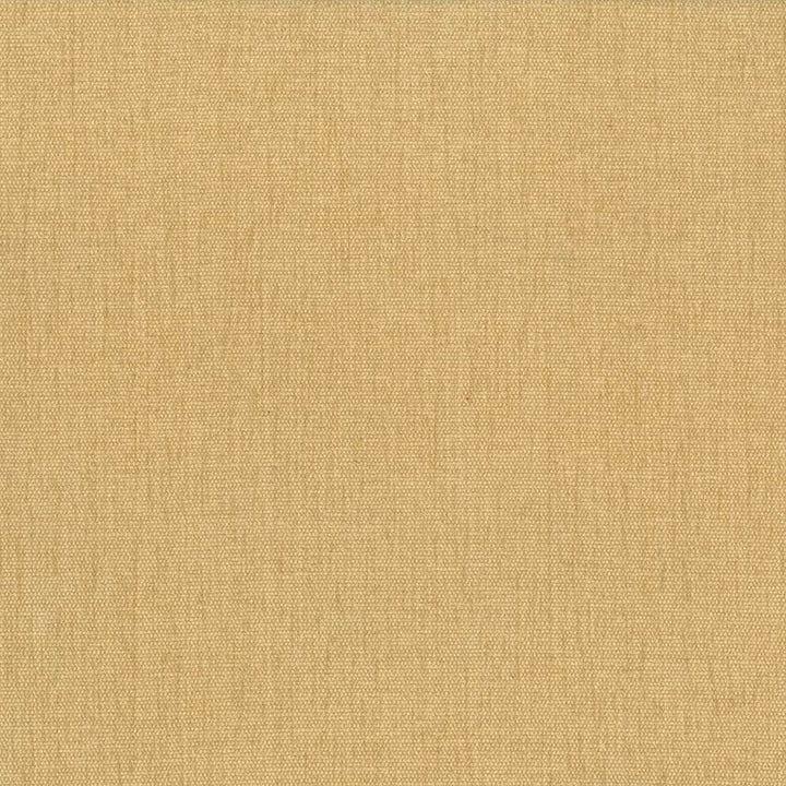 Pinnacle Mustard by Kasmir Designer Fabric 1353 100% Polyester
 INDIA 102,000 Wyzenbeek Double Rubs </p><p>Repeat: Horizontal: N/A and Vertical: N/A 54 - Swanky Fabrics -