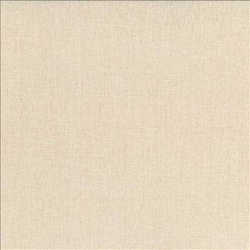 Pinnacle Oyster by Kasmir Designer Fabric 5046 100% Polyester INDIA 102,000 Wyzenbeek Double Rubs H: N/A, V: N/A 54 - 55 - Swanky Fabrics - Kasmir