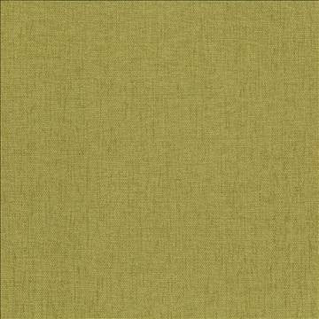 Pinnacle Palm by Kasmir Designer Fabric 5046 100% Polyester INDIA 102,000 Wyzenbeek Double Rubs H: N/A, V: N/A 54 - 55 - Swanky Fabrics - Kasmir