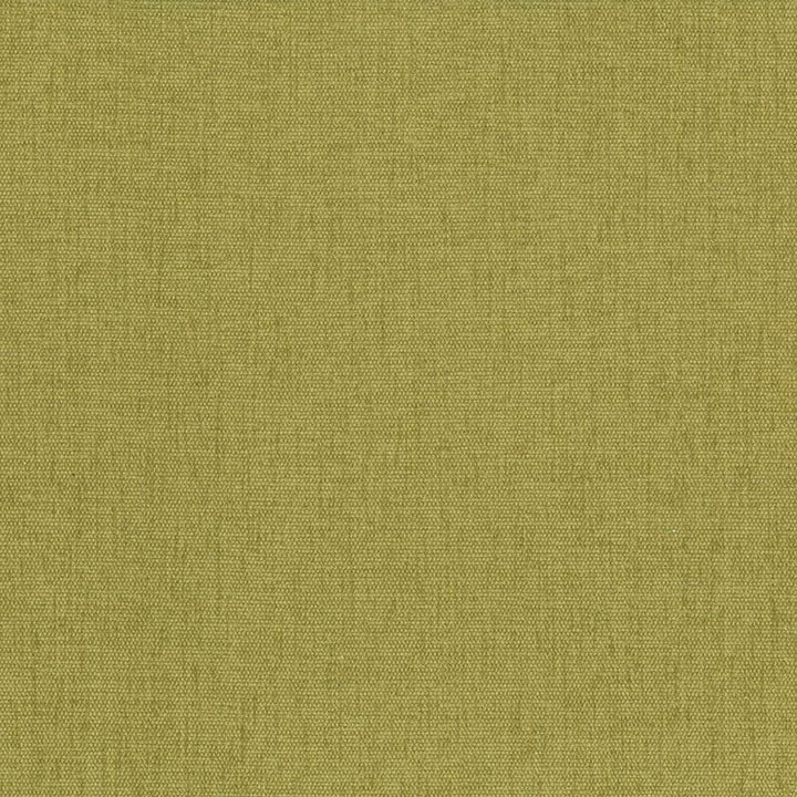 Pinnacle Palm by Kasmir Designer Fabric See sample 100% Polyester
 INDIA 102,000 Wyzenbeek Double Rubs </p><p>Repeat: Horizontal: N/A and Vertical: N/A 54 - Swanky Fabrics -