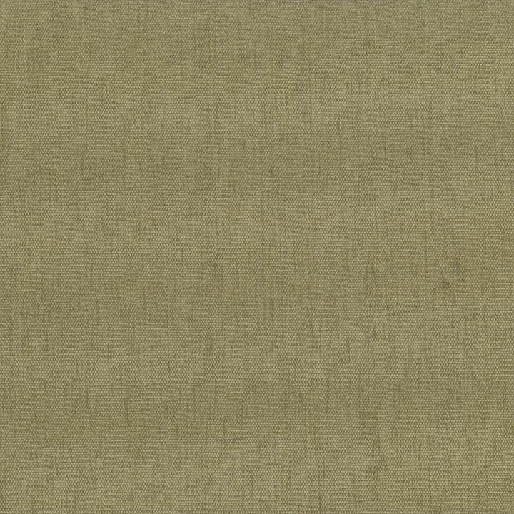 Pinnacle Parsley by Kasmir Designer Fabric 1353 100% Polyester
 INDIA </p><p>Repeat: Horizontal: N/A and Vertical: N/A 54 - 55 - Swanky Fabrics -