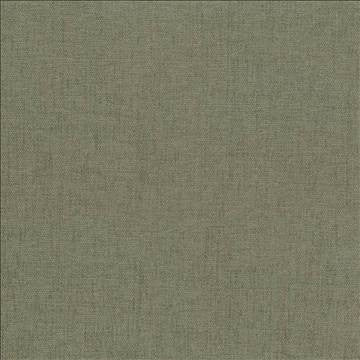 Pinnacle Sage by Kasmir Designer Fabric 1353 100% Polyester INDIA 102,000 Wyzenbeek Double Rubs H: N/A, V: N/A 54 - 55 - Swanky Fabrics - Kasmir