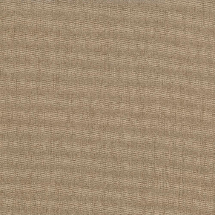 Pinnacle Sand  by Kasmir Designer Fabric 1353 100% Polyester
 INDIA 102,000 Wyzenbeek Double Rubs Horizontal: N/A and Vertical: N/A 54  - Swanky Fabrics -