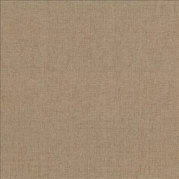 Pinnacle Sand by Kasmir Designer Fabric 5046 100% Polyester INDIA 102,000 Wyzenbeek Double Rubs H: N/A, V: N/A 54 - 55 - Swanky Fabrics - Kasmir