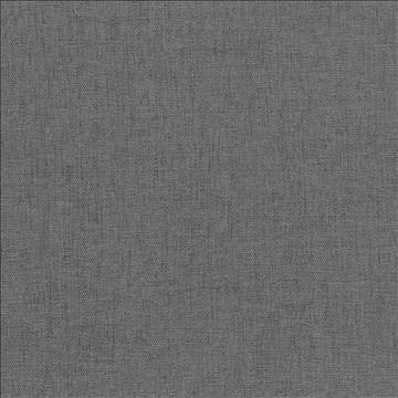 Pinnacle Sky by Kasmir Designer Fabric 5046 100% Polyester INDIA 102,000 Wyzenbeek Double Rubs H: N/A, V: N/A 54 - 55 - Swanky Fabrics - Kasmir