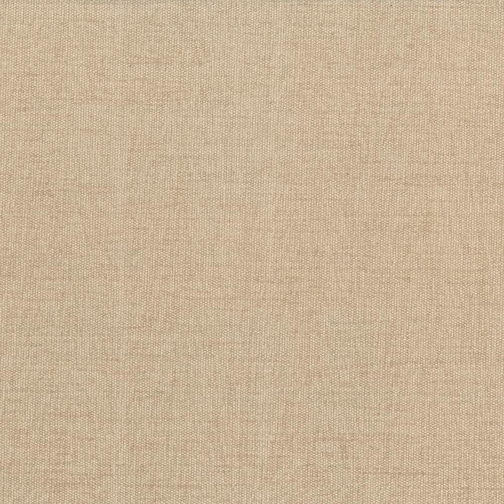 Pinnacle Tan by Kasmir Designer Fabric 5046 100% Polyester
 INDIA </p><p>Repeat: Horizontal: N/A and Vertical: N/A 54 - 55 - Swanky Fabrics -