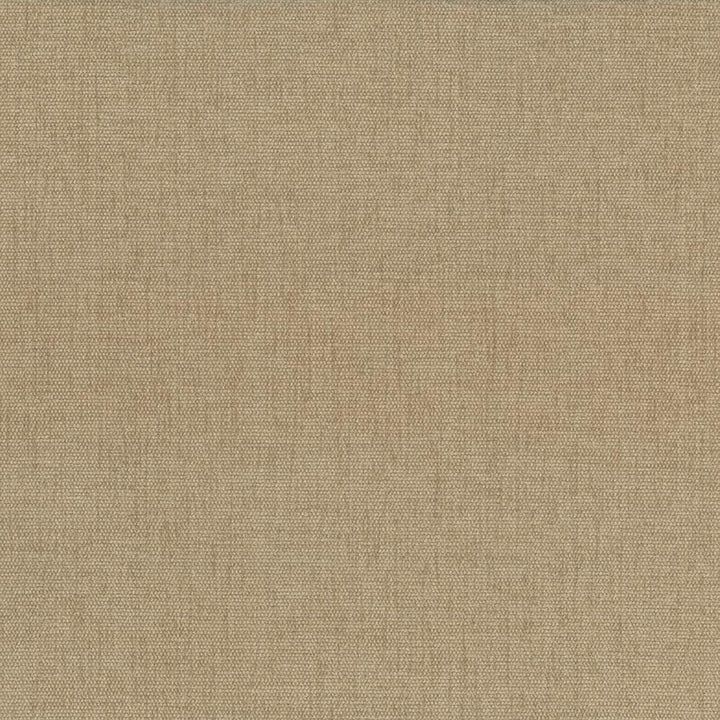 Pinnacle Tweed by Kasmir Designer Fabric 1353 100% Polyester
 INDIA 102,000 Wyzenbeek Double Rubs </p><p>Repeat: Horizontal: N/A and Vertical: N/A 54 - Swanky Fabrics -