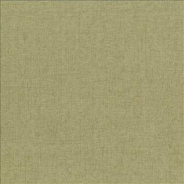 Pinnacle Willow by Kasmir Designer Fabric 5046 100% Polyester INDIA 102,000 Wyzenbeek Double Rubs H: N/A, V: N/A 54 - 55 - Swanky Fabrics - Kasmir