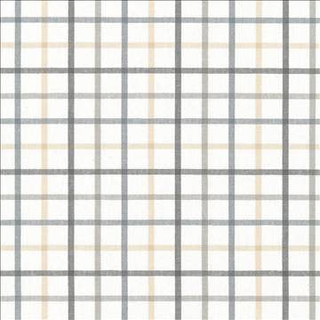 Piper Check Smoke by Kasmir Designer Fabric 5066 100% Cotton PORTUGAL 51,000 Wyzenbeek Double Rubs H: 3 4/8 inches, V: 3 2/8 inches 56 - Swanky Fabrics - Kasmir