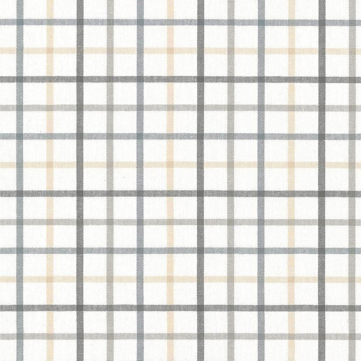 Piper Check Smoke by Kasmir Designer Fabric 5066 100% Cotton
 PORTUGAL 51,000 Wyzenbeek Double Rubs </p><p>Repeat: Horizontal: 3 4/8 inches and Vertical: 3 2/8 inches 56 - Swanky Fabrics -