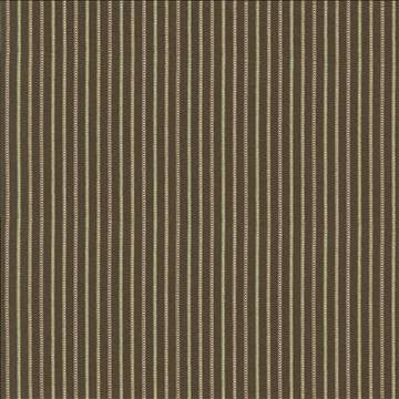 Pique Stripe Autumn by Kasmir Designer Fabric 1416 100% Cotton CHINA 51,000 Wyzenbeek Double Rubs H: 1 4/8 inches, V: N/A 56 - 57 - Swanky Fabrics - Kasmir