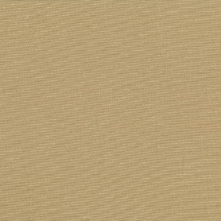 Pirouette Cashew by Kasmir Designer Fabric 5054 100% Polyester INDIA 45,000 Wyzenbeek Double Rubs Horizontal: 0 Inches and Vertical: 0 Inches 54 - 55 - Swanky Fabrics -