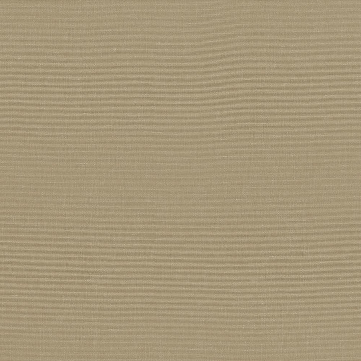 Pirouette Cement by Kasmir Designer Fabric 5054 100% Polyester
 INDIA </p><p>Repeat: Horizontal: N/A and Vertical: N/A 54 - 55 - Swanky Fabrics -