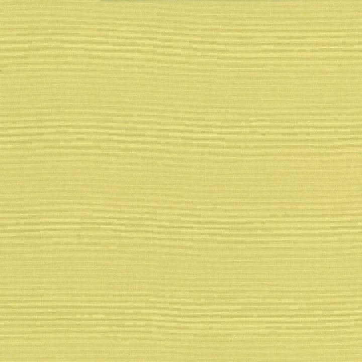 Pirouette Citrus by Kasmir Designer Fabric 5054 100% Polyester
 INDIA </p><p>Repeat: Horizontal: N/A and Vertical: N/A 54 - 55 - Swanky Fabrics -