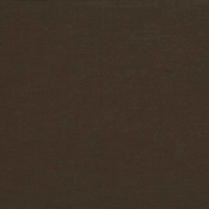Pirouette Fudge by Kasmir Designer Fabric 5054 100% Polyester
 INDIA </p><p>Repeat: Horizontal: N/A and Vertical: N/A 54 - 55 - Swanky Fabrics -