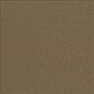 Pirouette Olive by Kasmir Designer Fabric 5054 100% Polyester INDIA 45,000 Wyzenbeek Double Rubs H: N/A, V: N/A 54 - 55 - Swanky Fabrics - Kasmir