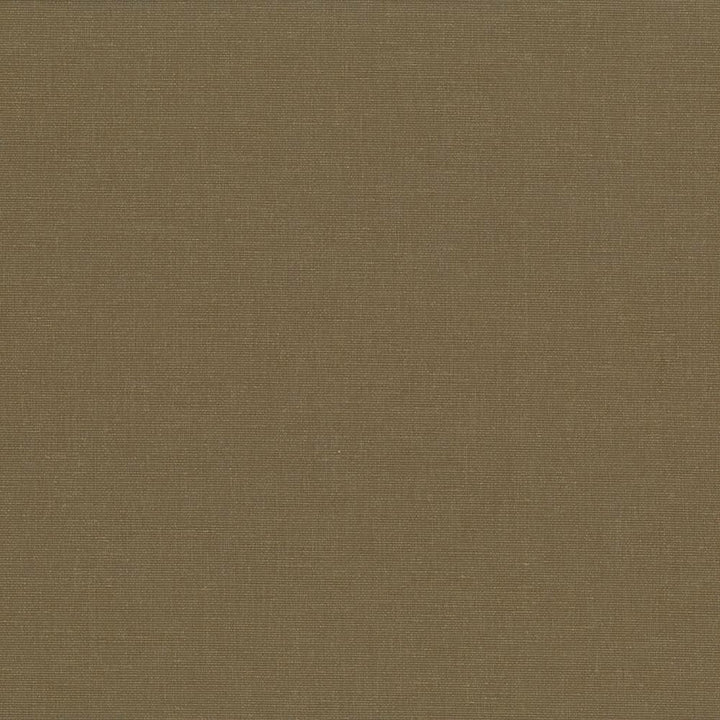 Pirouette Olive by Kasmir Designer Fabric 5054 100% Polyester INDIA 45,000 Wyzenbeek Double Rubs Horizontal: 0 Inches and Vertical: 0 Inches 54 - 55 - Swanky Fabrics -