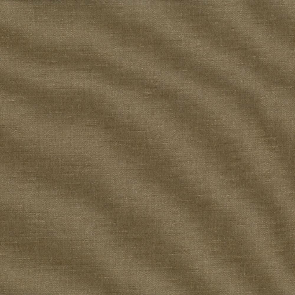 Pirouette Olive by Kasmir Designer Fabric 5054 100% Polyester
 INDIA </p><p>Repeat: Horizontal: N/A and Vertical: N/A 54 - 55 - Swanky Fabrics -