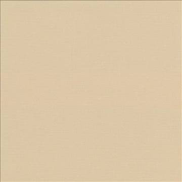 Pirouette Straw by Kasmir Designer Fabric 5054 100% Polyester INDIA 45,000 Wyzenbeek Double Rubs H: N/A, V: N/A 54 - 55 - Swanky Fabrics - Kasmir