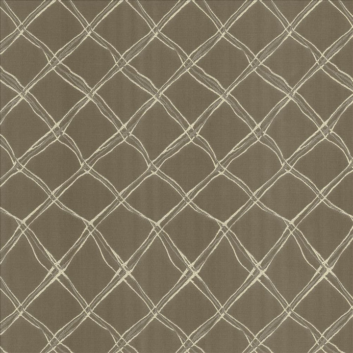 Plexus Stone by Kasmir Designer Fabric 5110 100% Polyester
 TURKEY 30,000 Wyzenbeek Double Rubs </p><p>Repeat: Horizontal: 3 3/8 inches and Vertical: 14 inches 57 - Swanky Fabrics -