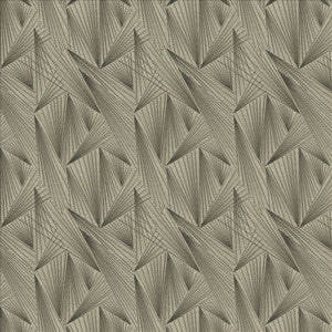 Point Of View Smoke by Kasmir Designer Fabric