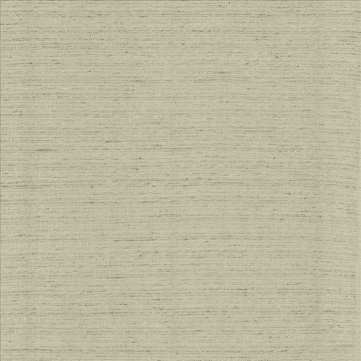 Polished Fog by Kasmir Designer Fabric 5153 100% Polyester
 INDIA </p><p>Repeat: Horizontal: N/A and Vertical: N/A 55 - Swanky Fabrics -