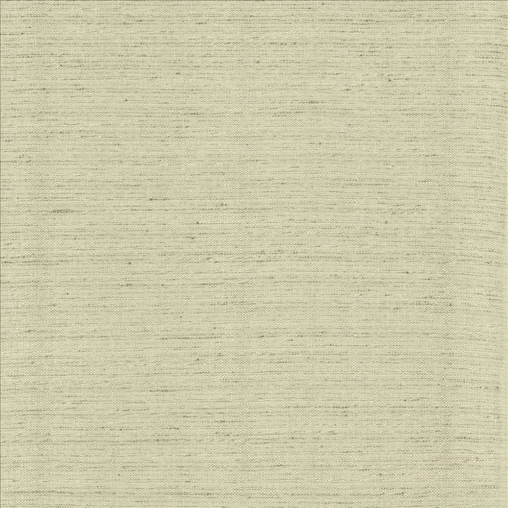 Polished Fog by Kasmir Designer Fabric 5153 100% Polyester INDIA 51,000 Wyzenbeek Double Rubs Horizontal: 0 Inches and Vertical: 0 Inches 55 - Swanky Fabrics -