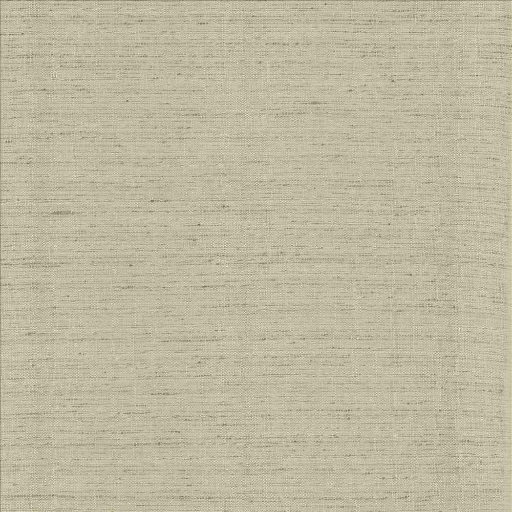 Polished Fog by Kasmir Designer Fabric See sample 100% Polyester
 INDIA 51,000 Wyzenbeek Double Rubs </p><p>Repeat: Horizontal: N/A and Vertical: N/A 55 - Swanky Fabrics -