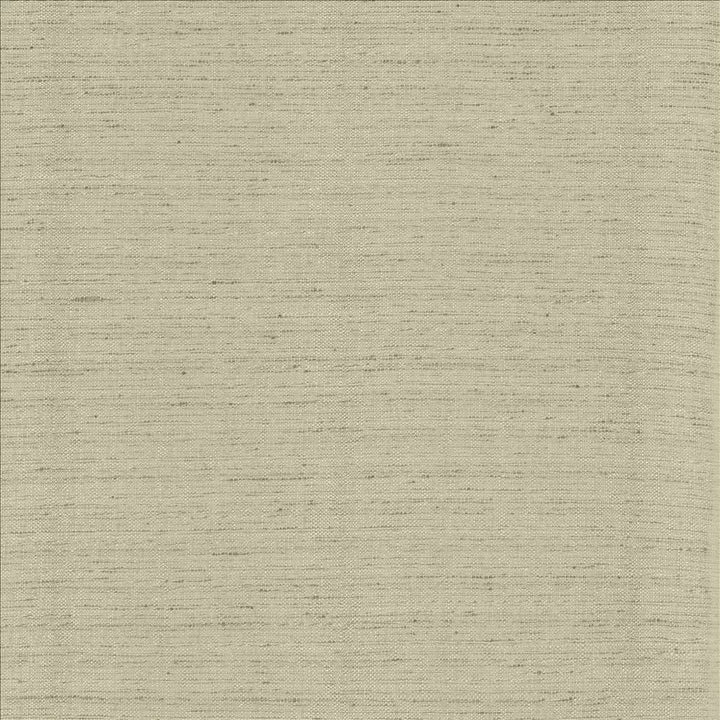 Polished Fog by Kasmir Designer Fabric 5153 100% Polyester
 INDIA 51,000 Wyzenbeek Double Rubs </p><p>Repeat: Horizontal: N/A and Vertical: N/A 55 - Swanky Fabrics -