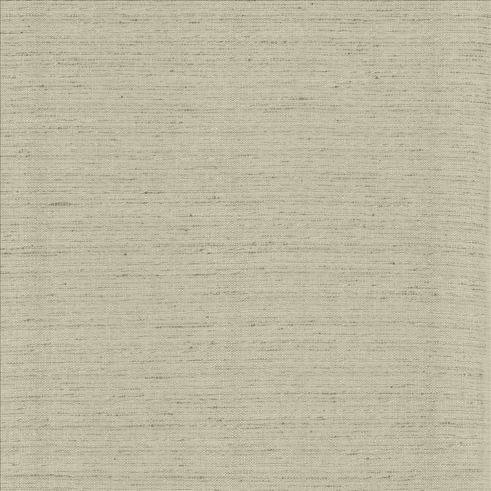 Polished Fog by Kasmir Designer Fabric 5153 100% Polyester
 INDIA </p><p>Repeat: Horizontal: N/A and Vertical: N/A 55 - Swanky Fabrics -