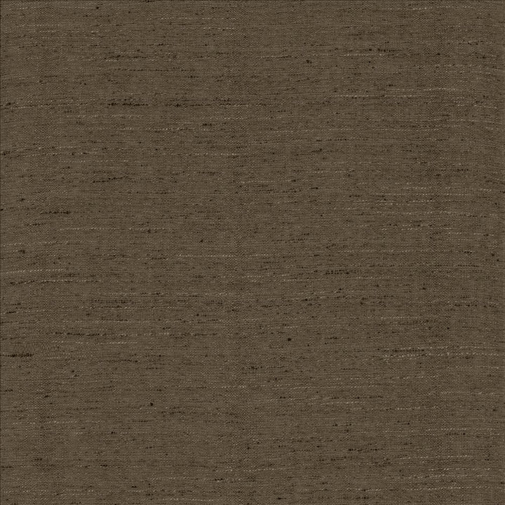 Polished Mercury by Kasmir Designer Fabric 5153 100% Polyester INDIA 51,000 Wyzenbeek Double Rubs Horizontal: 0 Inches and Vertical: 0 Inches 55 - Swanky Fabrics -