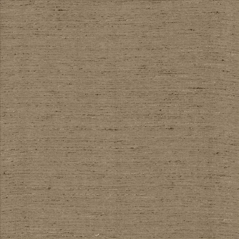Polished Silver by Kasmir Designer Fabric See sample 100% Polyester
 INDIA 51,000 Wyzenbeek Double Rubs </p><p>Repeat: Horizontal: N/A and Vertical: N/A 55 - Swanky Fabrics -