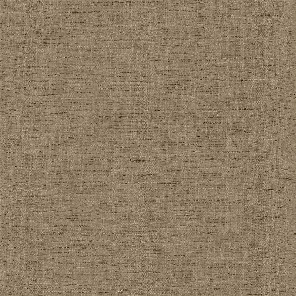 Polished Silver by Kasmir Designer Fabric 5153 100% Polyester
 INDIA </p><p>Repeat: Horizontal: N/A and Vertical: N/A 55 - Swanky Fabrics -
