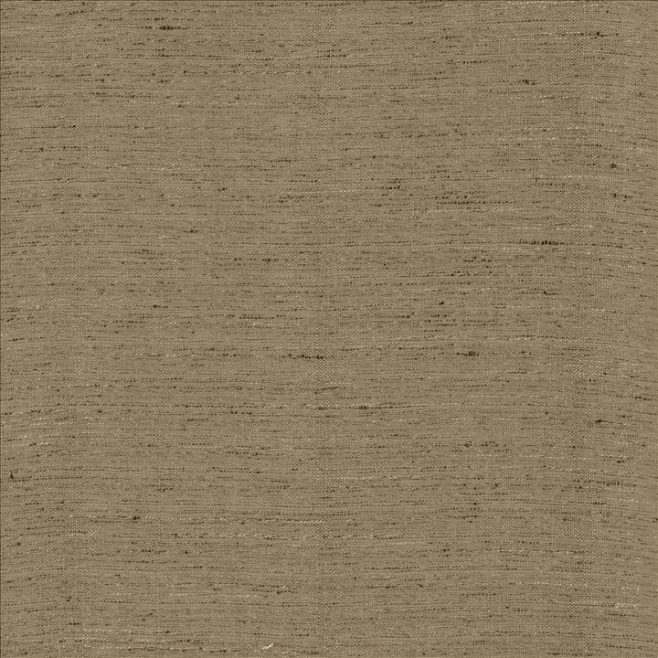 Polished Silver by Kasmir Designer Fabric 5153 100% Polyester INDIA 51,000 Wyzenbeek Double Rubs Horizontal: 0 Inches and Vertical: 0 Inches 55 - Swanky Fabrics -