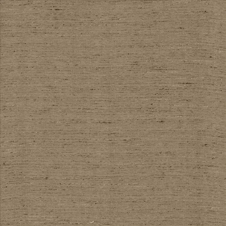 Polished Silver by Kasmir Designer Fabric 5153 100% Polyester
 INDIA 51,000 Wyzenbeek Double Rubs </p><p>Repeat: Horizontal: N/A and Vertical: N/A 55 - Swanky Fabrics -