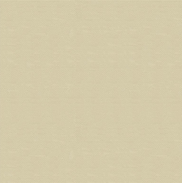 PRIMA.111 by Kravet Design Designer Fabric in our sample Polyurethane 100% Japan Heavy Horizontal: See Sample and Vertical: See Sample 54 inches - Swanky Fabrics -