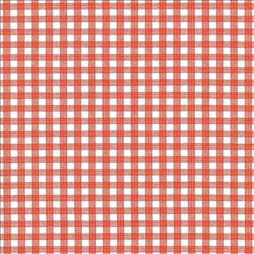 Prima Check Orange by Kasmir Designer Fabric 5070 100% Cotton PORTUGAL 33,000 Wyzenbeek Double Rubs H: 4/8 inches, V: 4/8 inches 54 - Swanky Fabrics - Kasmir