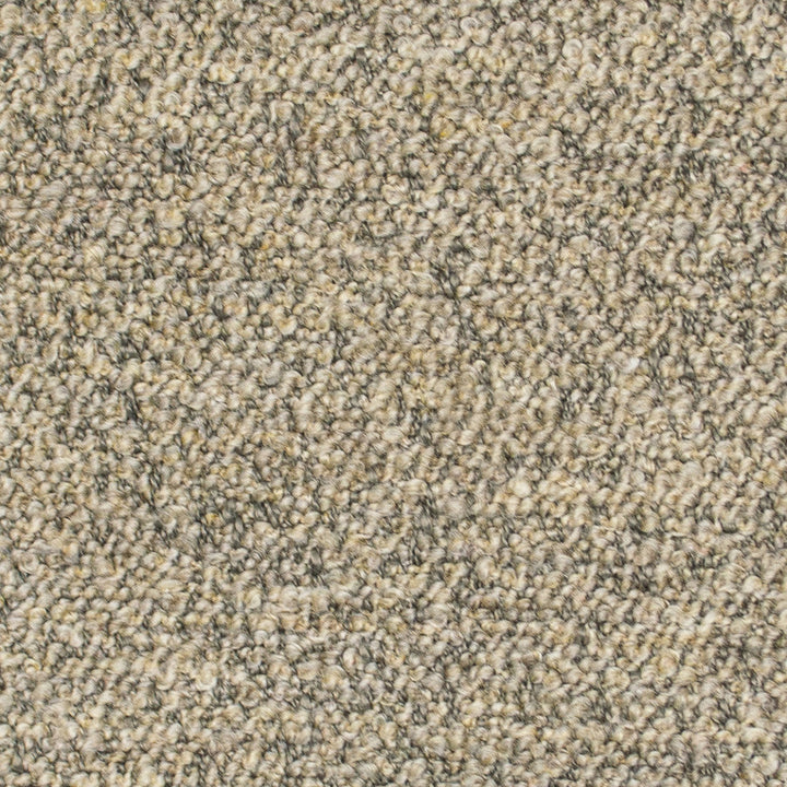 Provato Warm Sand by Europatex Designer Fabric Provato 95% Polyester, 5% Acrylic 0.00 55.00 inches - Swanky Fabrics -